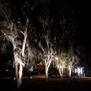 Sealed Circular Ground-Mounted Light